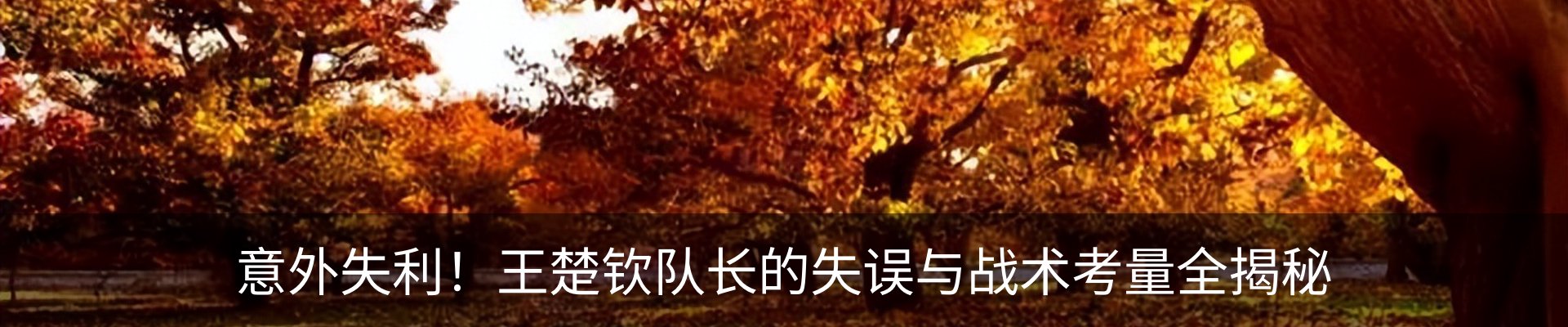 行业资讯